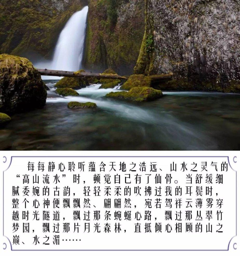 大连三院眼科团队参加国际高峰论坛赢得同行一致好评!